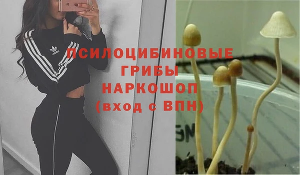 МДПВ Видное
