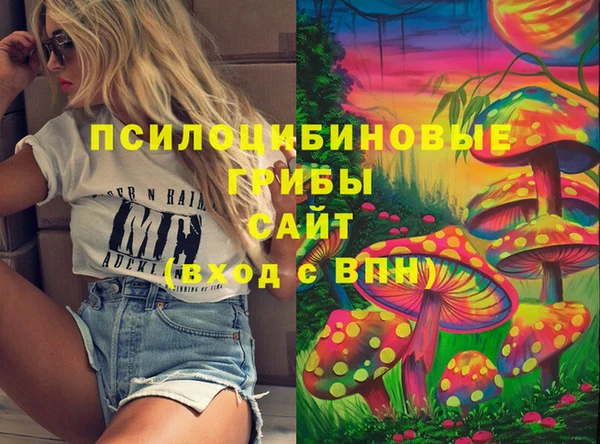 МДПВ Протвино