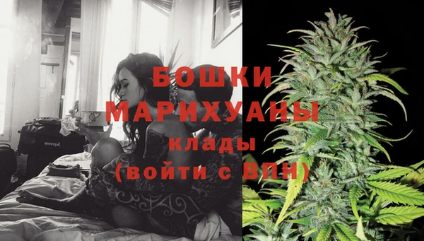 МДПВ Протвино