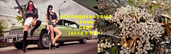 прущие крисы Приозерск