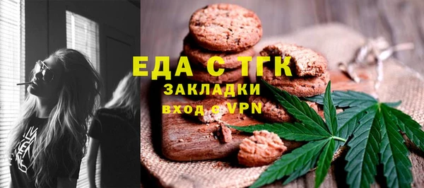 МДПВ Протвино